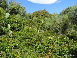 rre del Greco-17-05-2021 10